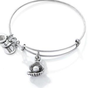 Alex and Ani oyster bracelet in silver